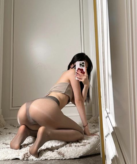 凤凰血